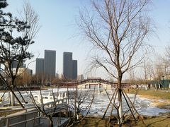 -西海子公园