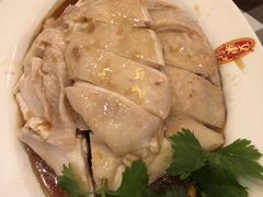 -文东记(马里士他路)