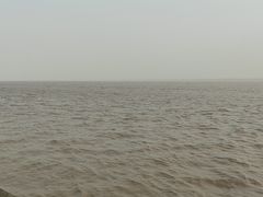 -观潮胜地公园