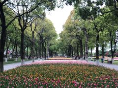 -上海鲜花港