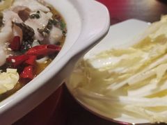-长沙猫歌音乐餐厅(湖南女子大学店)