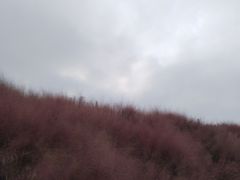 -嘉北郊野公园