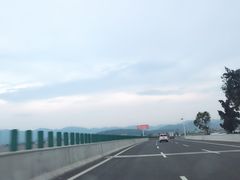 -坏猴子