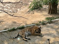 -大连森林动物园