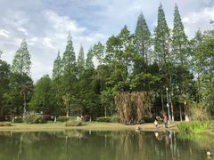 -夏河溪乡野公园