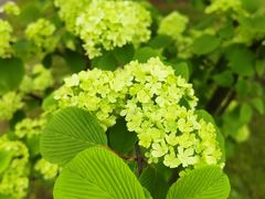 -玄武湖景区-情侣园游乐场