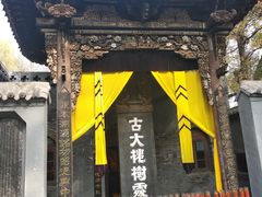 -大槐树寻根祭祖园