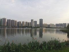 -飞来湖湿地公园