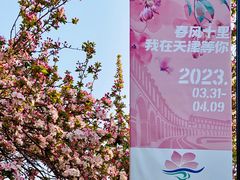 -天津五大道文化旅游区