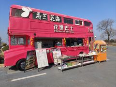 -荷兰花海