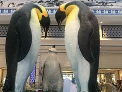 -帝企鹅自助餐厅•儿童岛•真企鹅(长隆企鹅酒店)