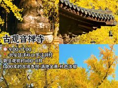 -西北轻工批发市场