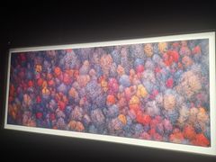 -罗红摄影艺术馆