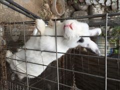 iphone_upload_pic-双新垂钓园