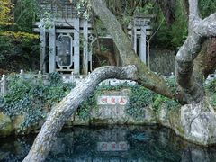 -蝴蝶泉公园
