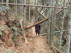 -东明山森林公园