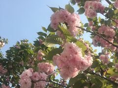 -大宁灵石公园西门票处