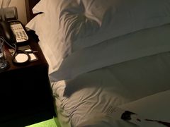 -北京北辰洲际酒店