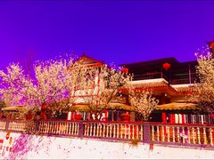 -樱桃山旅游景区