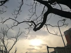 -潘家园(地铁站)