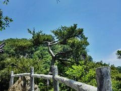 -王顺山国家森林公园