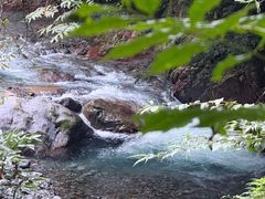 -西岭雪山大飞水景区