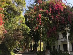 -广东温泉宾馆