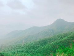 -阳台山自然风景区