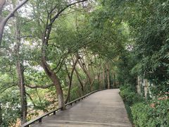 -天目湖山水园