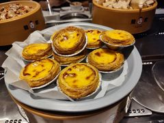 -龍歌自助小火锅(李沧顺和汇店)