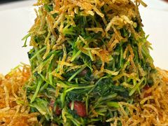 低卡巧手拌豆苗-四季民福烤鸭店(望京南湖东园店)