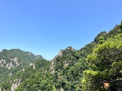 -王顺山国家森林公园