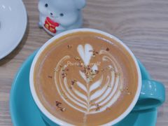 桂花拿铁-OZ cafe(南昌路店)