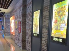 -SFC上影影城(北京大兴龙湖天街IMAX店)