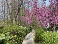 -云龙湖旅游景区