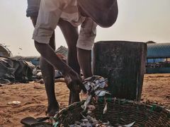 -尼甘布海鲜市场