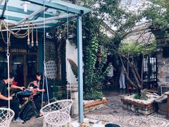 -喵屿·大理花园猫咖