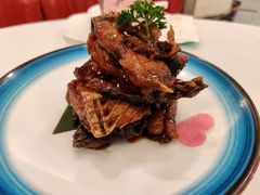 -新名仕新白玉兰餐厅