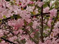 -同济大学(嘉定校区)