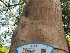 -珠海圆明新园