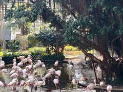 -九龙公园