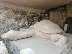 -上海佘山国家森林公园天马山园