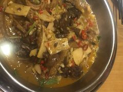 -红果树(江光店)