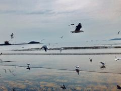 -青岛第二海水浴场