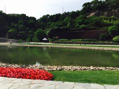 -上海鲜花港