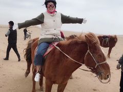 -敕勒川草原文化旅游区