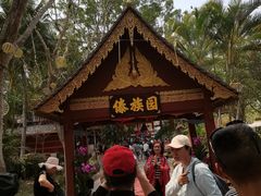 -西双版纳傣族园