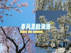 -龙寺生态园