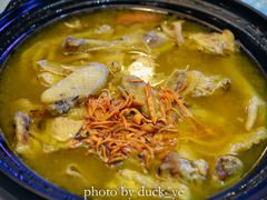 菌菇土鸡煲-千岛湖品鱼馆(钓鱼岛店)