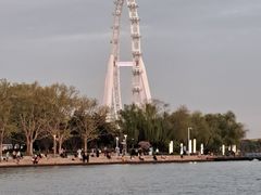 -金鸡湖景区